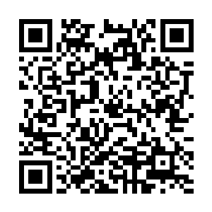 只让她暂时先明白世界上有修真者这么一类人的存在二维码生成