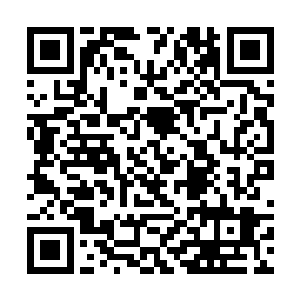 只记得那些大宋勋贵们每一个人都对自己非常的怜惜二维码生成