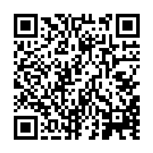 只说再细究他也无法生还再细究只会令他情绪不稳二维码生成