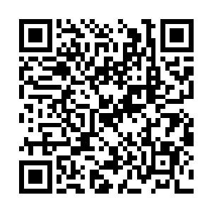 只需要一眼便是能够看清楚对方到底是怎样的存在二维码生成