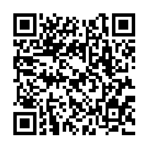 只需要使用枪上的铁瞄射杀最远达到七百米的敌人二维码生成