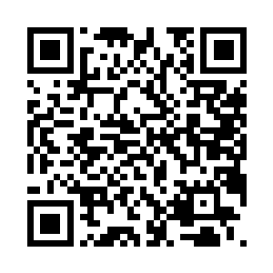 只需要分组时让所有的蛋族都在同一组二维码生成