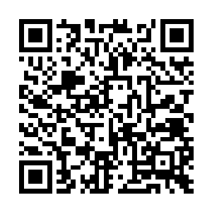 只需要在刘大厦这个兵部尚书身边安插足够的人手二维码生成
