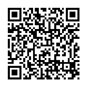 只需要在自己的身体内注入稀释过的星魂兽血脉二维码生成