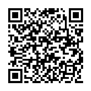 只需要完善人类观测范围内的一切细节就可以了二维码生成