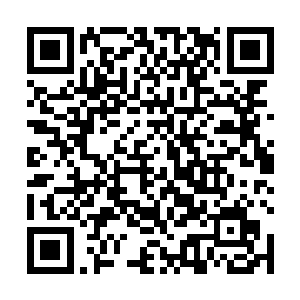 只需要平常的仙诀利用释放仙诀的速度就可以击败对方二维码生成