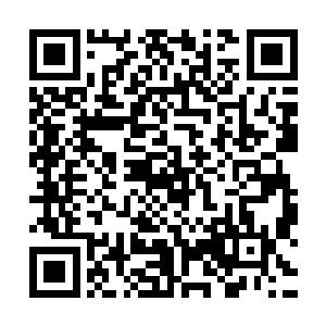 只需要开始前一天梳理一遍就ok她提前过来当然是有重要的事儿二维码生成