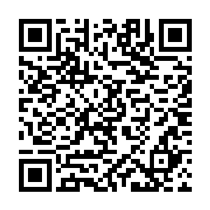 只需要指定一下蜕变的方向就能很快到手第一件法宝二维码生成