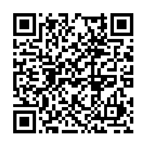 只需要搭乘苍云神殿就能够离开遗忘大陆前往神界二维码生成