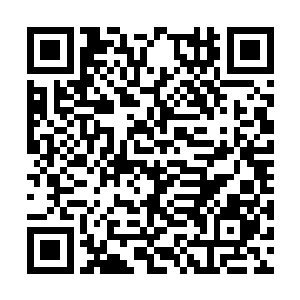 只需要让自己成为活下来的十个人中的一个就够了二维码生成