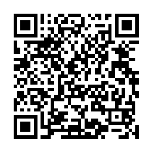 只需要调整下身体里的神圣之力便是能够将断臂恢复如此二维码生成