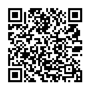 只需要龙眼大的一团重土应该就足够支付这次竞拍的费用了二维码生成