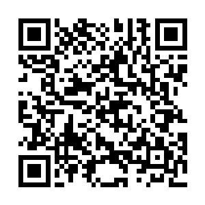 只需让一位在神火法则的感悟上超越了炎尊的强者出手二维码生成