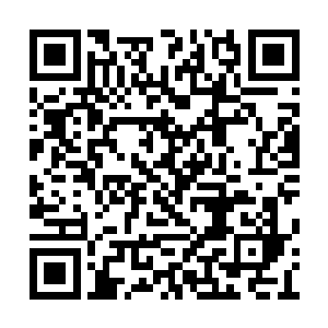 只需身穿蟒袍的主子一声令下就要冲杀碾压过去二维码生成