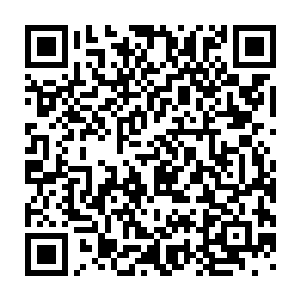 叫上小东驴哥还有几个在徒步旅行中认识的同学一起去天元学生市场二维码生成