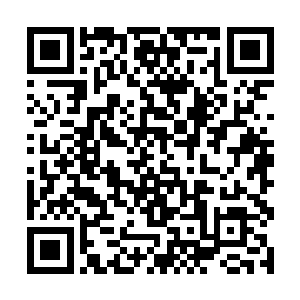 叫人把我们从京城带来的东西拿过来分给阿灵和小熊二维码生成