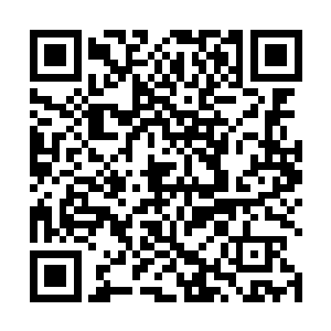 叫人疑心是不是三曼多跋陀罗普贤菩萨所乘的那头白象二维码生成