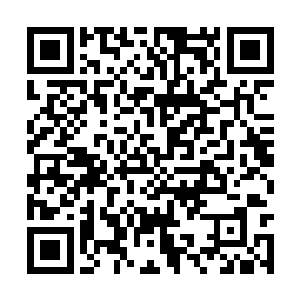 叫他们务必解决得本区八千农民子弟工的入学问题二维码生成