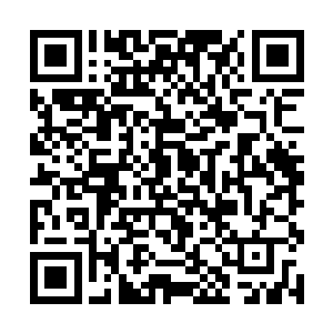 叫他们帮我密切关注她和一个叫连俢肆的男人的动态二维码生成