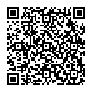叫你回去加班加点的也要见成果……那不是这家里就只有我是最没资格分财产的那个二维码生成