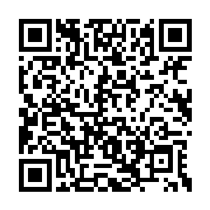 叫做白晨的男人听了凌菲的话猛然就僵住了身体二维码生成