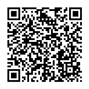 叫兰斯的年轻的西域商人一脸荡漾的跟着侍卫走在偌大的定王府里二维码生成