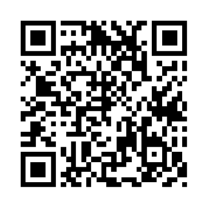 召唤冷却时间到了的两只狗崽召唤了出来二维码生成