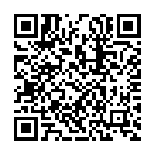 召回两位护法应该跟那位姓夜的小姐……没关系吧二维码生成