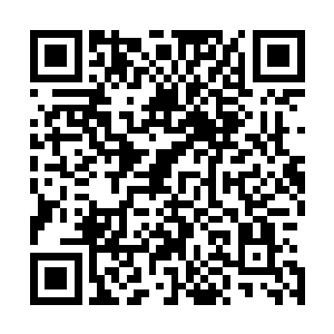 叮叮叮叮叮叮……林家的一楼大厅顿时下起了一阵金粒雨来二维码生成