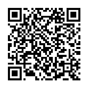 叮叮当当~~可是预想中的利刃临身的事情并没有发生二维码生成