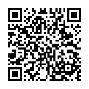 叮嘱她以后每天都要更换一次大蓟叶浆汁和包裹用的树叶二维码生成