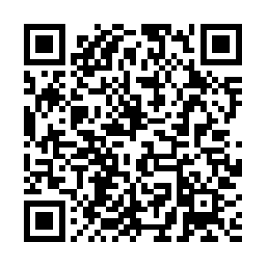 可……他一开始还觉得贵妃应该是十分开心有个孙子的二维码生成