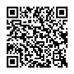 可一向疼爱她的爸爸妈妈这次是吃了称砣铁了心二维码生成