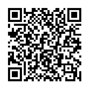 可一听到李安修提起姐姐来脸色竟然都变得不对劲了二维码生成