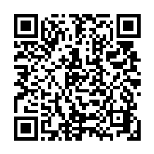 可一旁的盗骊却是一路邪邪笑着还一个劲的摸着他的鼻子二维码生成