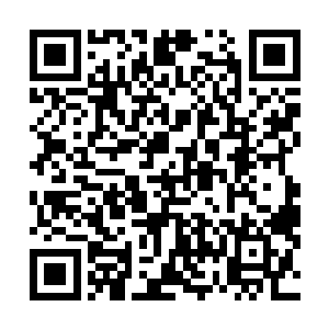 可一旦修炼到某一等级就必然比同等级的其他修真者强大二维码生成
