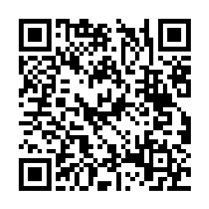 可三大派两名青莲九品的修士都是被他给亲手斩了二维码生成