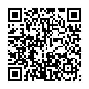 可三妹妹和大姐姐您不是年年都给她们买花灯的么二维码生成