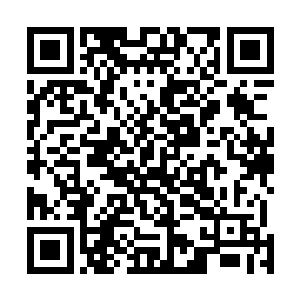 可不仅仅只是苏落之前使用的群攻技能音波功那么简单的二维码生成