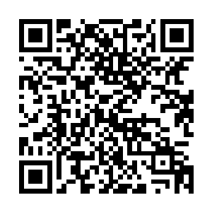 可不敢低估丧魂谷中的一切生灵……似乎也不能称之为生灵二维码生成