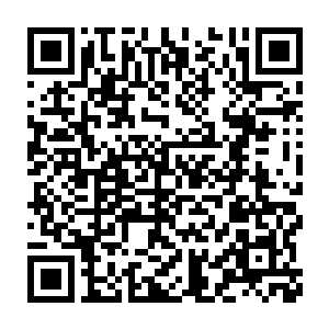 可不是帮秦方抵挡这些藤蔓的攻击……深渊屠戮者紫瞳更强的还是偷袭二维码生成