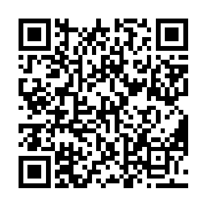 可不是莫凡这种打算来镀金的少爷似的子弟能够相比的二维码生成