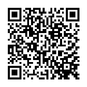 可不是跟这棵树一样看起来那么脆弱无助浑身都在发抖么二维码生成