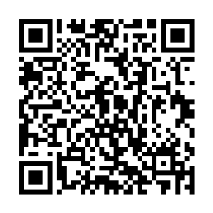 可不朽血脉之力却在无时无刻的完善着拥有着的身体二维码生成