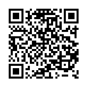 可不知道十三军团从哪里找来的王级骇客二维码生成