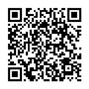 可不能被一个不知道从哪儿冒出来的小瘪三给欺负了二维码生成