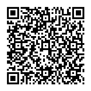 可严宽就算是个实力相当不弱的武林高手最多也就是比普通人拥有更强一些的生命力二维码生成