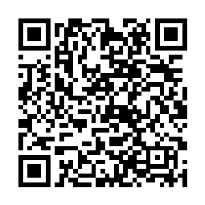 可为何我们从未见过你们凯洛部落和龟族有过来往呢二维码生成