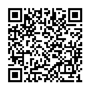 可乐和曼托斯在这一眼中已经又一次坠入了爱河二维码生成