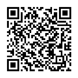 可乐安公主也笑呵呵的不象有什么烦心事儿的样子二维码生成